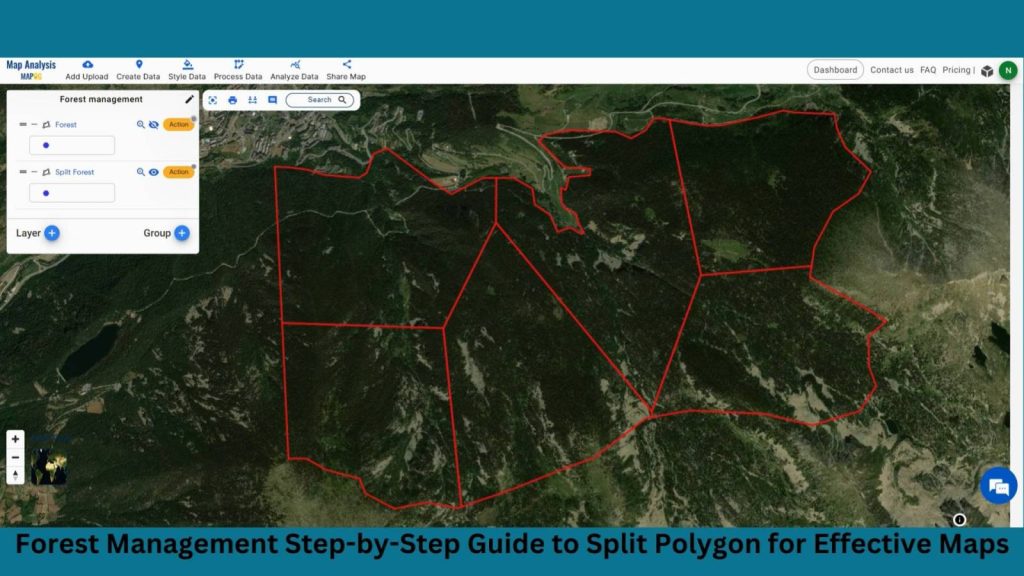 Forest Management: Step-by-Step Guide to Split Polygon for Effective Maps