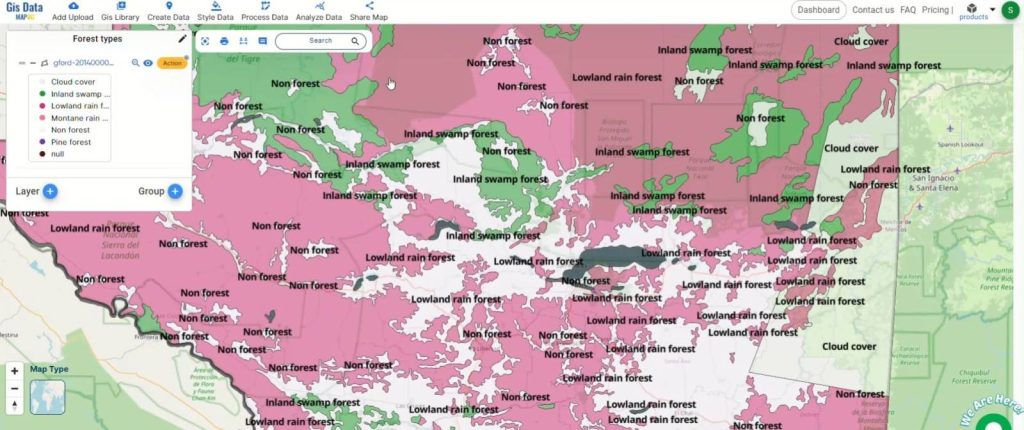 Mapping Forest Types Using Category Style