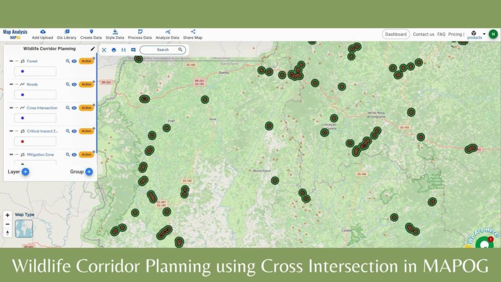 Wildlife Corridor Planning using Cross Intersection in MAPOG